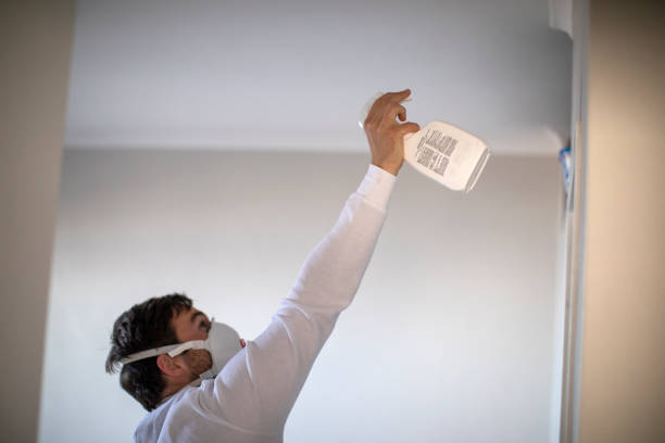 Best Crawl Space Mold Removal  in Lochearn, MD