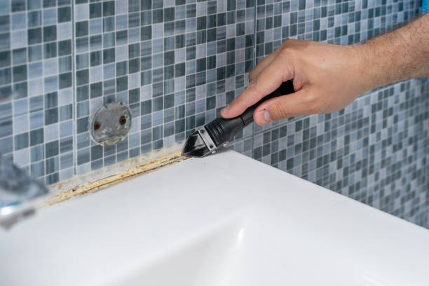 Best Certified Mold Removal  in Lochearn, MD